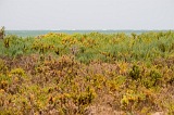 Maio : Terras Salgadas : praia : Nature