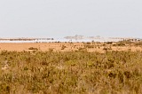 Maio : Terras Salgadas : fata morgana : Landscape Desert
Cabo Verde Foto Galeria