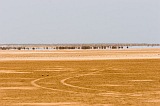 Maio : Terras Salgadas : fata morgana : Landscape Desert
Cabo Verde Foto Galeria