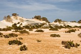 Maio : Terras Salgadas : duna : Landscape Desert
Cabo Verde Foto Galeria