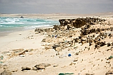Boa Vista : Cabo Santa Maria : coast : Landscape Sea
Cabo Verde Foto Gallery