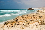 Boa Vista : Cabo Santa Maria : Santa Maria : Landscape Sea
Cabo Verde Foto Gallery