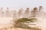 Insel: Boa Vista  Wanderweg:  Ort: Sal Rei Motiv: Sandsturm Harmattan Motivgruppe: Landscape Desert © Florian Drmer www.Cabo-Verde-Foto.com