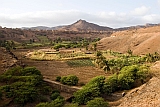 Santiago : Calheta : plantao : Landscape Agriculture
Cabo Verde Foto Galeria