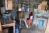 Fogo : Ch das Caldeiras : coffee : People Work
Cabo Verde Foto Gallery