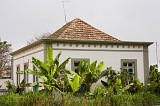 Brava : Villa Nova Sintra : banana : Landscape Town
Cabo Verde Foto Galeria