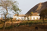 Brava : Vila Nova Sintra :  : Landscape Town
Cabo Verde Foto Galeria