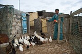 So Nicolau : Cabealinho : farmer : People Work
Cabo Verde Foto Gallery