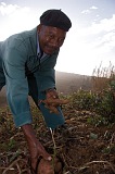 So Nicolau : Cabealinho : farmer : People Work
Cabo Verde Foto Gallery