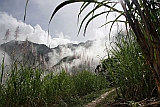 Santo Anto : Pal : sugar cane : Landscape Mountain
Cabo Verde Foto Gallery