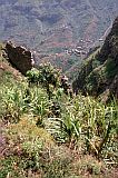 So Nicolau : Covoada : field : Landscape Mountain
Cabo Verde Foto Gallery