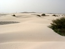 Boa Vista : Deserto Viana : desert : Landscape Desert
Cabo Verde Foto Gallery