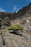 So Vicente : Santa Luzia da Terra : oasis : Landscape
Cabo Verde Foto Gallery