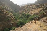 Brava : Ribeira Ferreiros Odjo d Agua : hiking trail : Landscape Mountain
Cabo Verde Foto Gallery