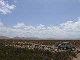 Maio : Terras Salgada : planice : Landscape Desert
Cabo Verde Foto Galeria