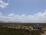 Maio : Terras Salgada : plain : Landscape DesertCape Verde Foto Gallery