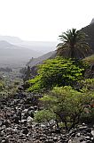 Insel: So Vicente  Wanderweg:  Ort: Santa Luzia da Terra Motiv: Oase Motivgruppe: Landscape Mountain © Pitt Reitmaier www.Cabo-Verde-Foto.com
