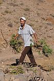 Santo Anto : Bordeira de Norte : hiking trail donkey : People Work
Cabo Verde Foto Gallery