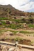 Santo Anto : Tarrafal de Monte Trigo : yam : Landscape Agriculture
Cabo Verde Foto Gallery