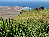 So Vicente : Monte Verde : view on Baia das Gatas : Landscape
Cabo Verde Foto Gallery