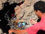 Fogo : Bordeira : incinerating litter left behind by another party : People Work
Cabo Verde Foto Gallery