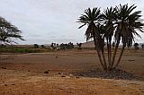 Boa Vista : Fonte Vicente Horta do Belga : Oasis : Landscape Desert
Cabo Verde Foto Gallery