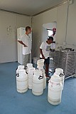 Santo Anto : Bolona Monte Arranha Perna : cheese factory : People Work
Cabo Verde Foto Gallery