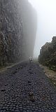 So Vicente : Monte Verde : road in the fog : Landscape Mountain
Cabo Verde Foto Gallery