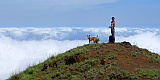 Insel: Santo Anto  Wanderweg: 103b Ort: Pico da Cruz Gudo de Caxa Motiv: Gipfel Wolken Hund Motivgruppe: Landscape Mountain © Pitt Reitmaier www.Cabo-Verde-Foto.com