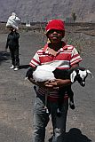 Fogo : Ch das Caldeira Portela : rapaz com cabrito : People Work
Cabo Verde Foto Galeria
