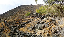 Santo Anto : Tabuga Cha de Rosinha : former irrigation chanel path : Landscape
Cabo Verde Foto Gallery