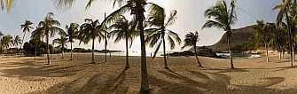 Santiago : Tarrafal : coqueiros na praia de baia verde : Landscape Sea
Cabo Verde Foto Galeria