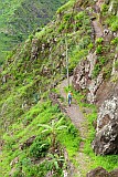 Santo Anto : Losna : hiking trail : Landscape Mountain
Cabo Verde Foto Gallery