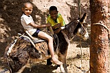 Santo Anto : Figueiral : crianas brincando com burro : People Children
Cabo Verde Foto Galeria