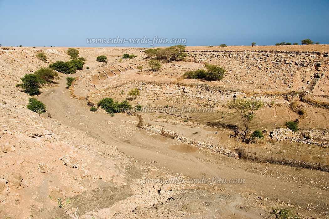 Maio : Ponta Preta :  : Landscape AgricultureCabo Verde Foto Gallery