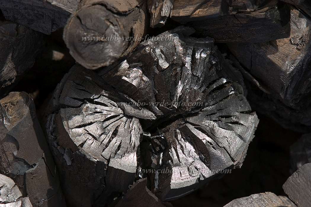 Maio : Terras Salgadas : charcoal : Technology AgricultureCabo Verde Foto Gallery