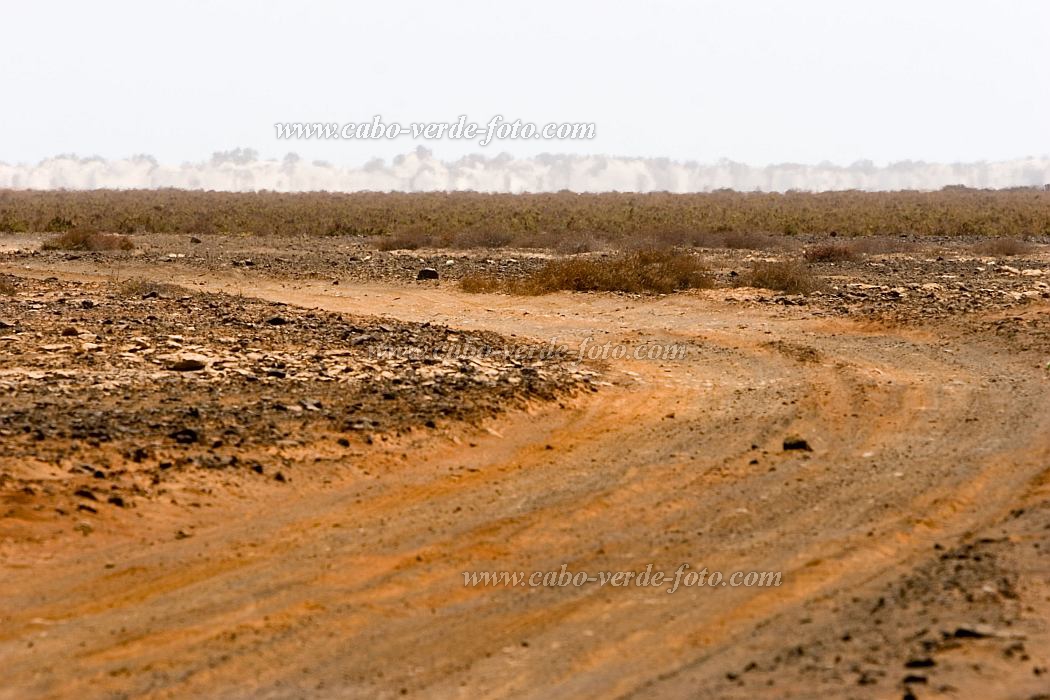 Maio : Terras Salgadas : deserto : Landscape DesertCabo Verde Foto Gallery