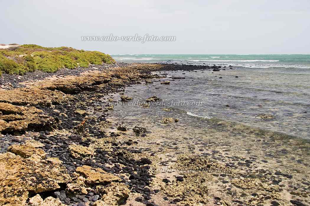 Maio : Terras Salgadas : beach : Landscape SeaCabo Verde Foto Gallery