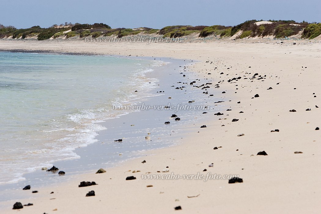 Maio : Terras Salgadas : beach : Landscape SeaCabo Verde Foto Gallery