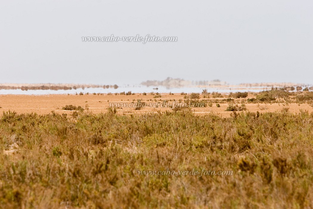 Maio : Terras Salgadas : fata morgana : Landscape DesertCabo Verde Foto Gallery