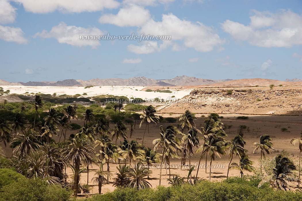 Boa Vista : Rabil : n.a. : Landscape DesertCabo Verde Foto Gallery
