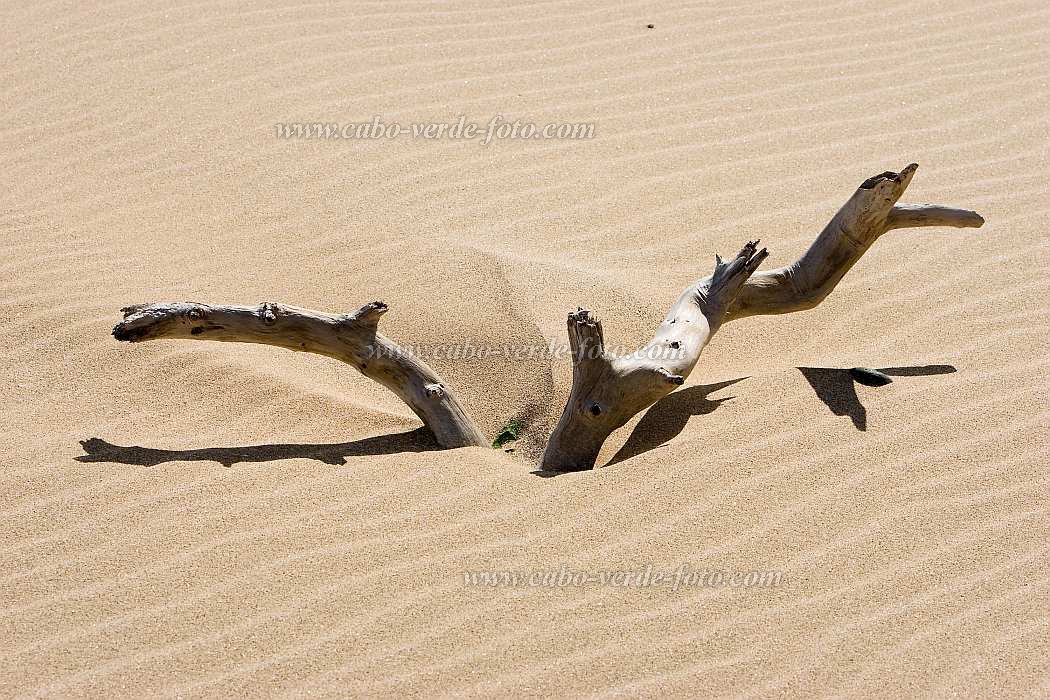 Boa Vista : Praia de Chave : n.a. : Landscape SeaCabo Verde Foto Gallery
