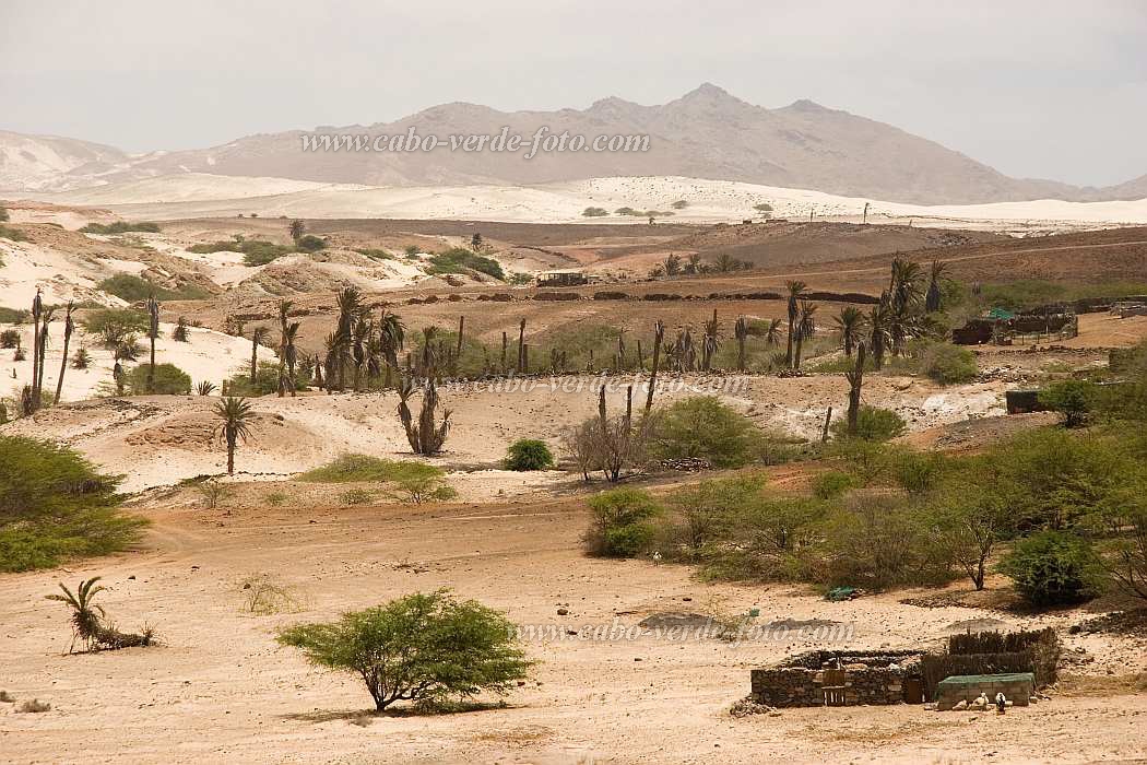 Insel: Boa Vista  Wanderweg:  Ort: Estncia de Baixo Motiv: Kulturlandschaft Motivgruppe: Landscape Agriculture © Florian Drmer www.Cabo-Verde-Foto.com