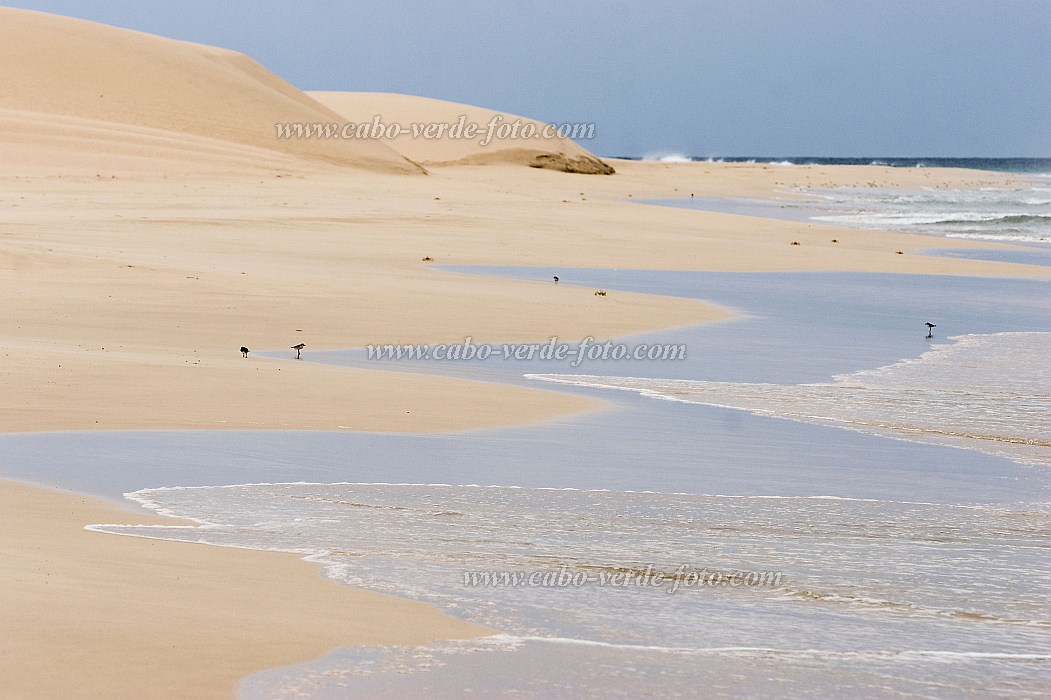 Boa Vista : Praia de Santa Mnica : duna : Landscape SeaCabo Verde Foto Gallery