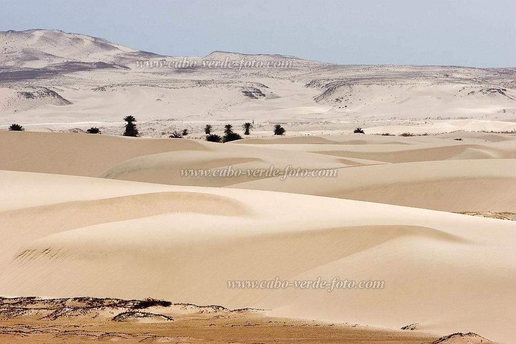 Boa Vista : Praia de Santa Mnica : dune : Landscape DesertCabo Verde Foto Gallery