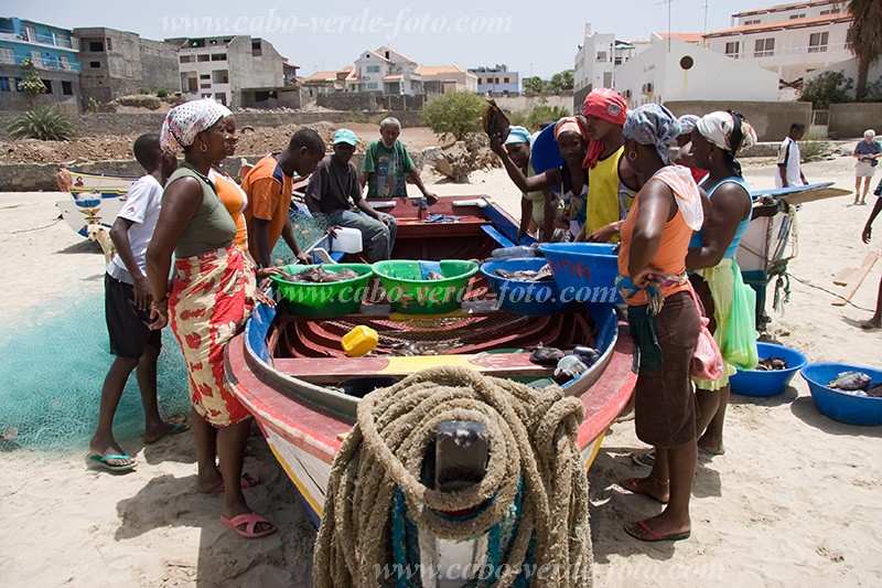 Santiago : Tarrafal : fish monger : People WomenCabo Verde Foto Gallery