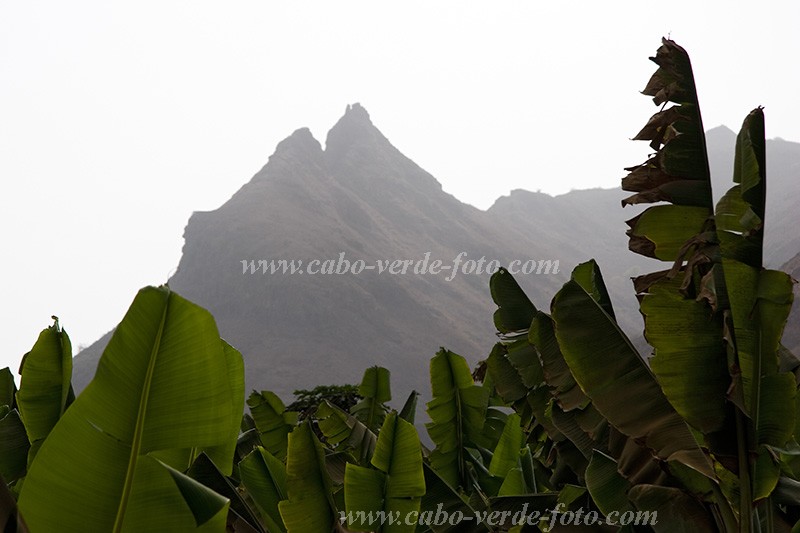 Santiago : Calheta : banana : Landscape MountainCabo Verde Foto Gallery