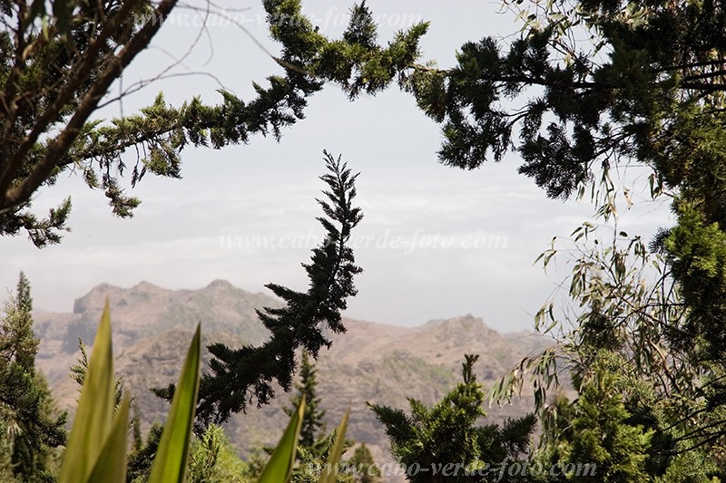 Santiago : Principal :  : Landscape MountainCabo Verde Foto Gallery