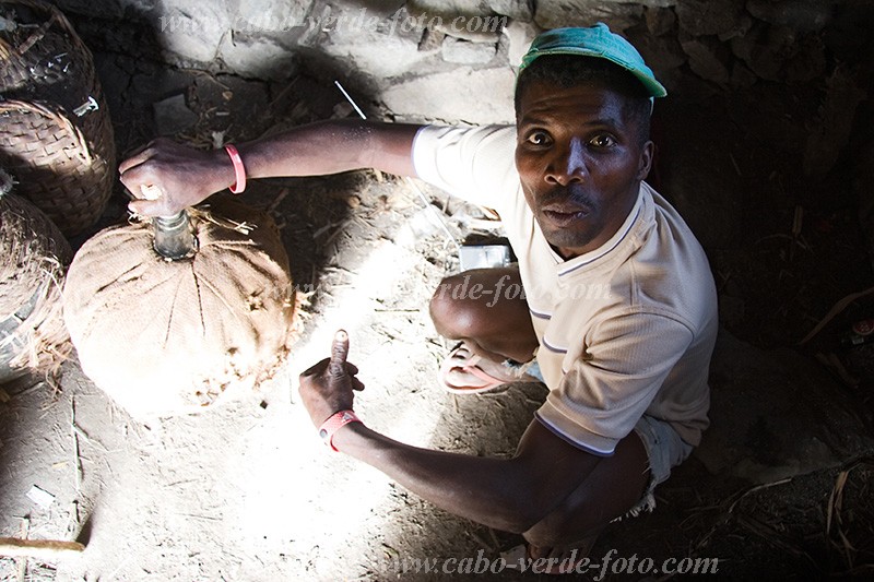Santiago : Assomada : white rum production : People WorkCabo Verde Foto Gallery