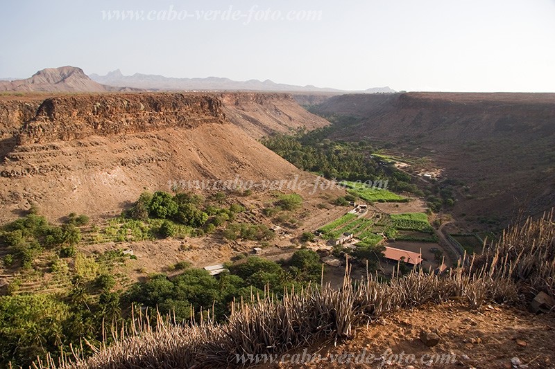 Santiago : Cidade Velha :  : Landscape AgricultureCabo Verde Foto Gallery